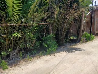 DIJUAL CEPAT TANAH PEKARANGAN WEDI, BOJONEGORO