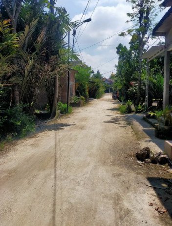 dijual-cepat-tanah-pekarangan-wedi-bojonegoro-big-1