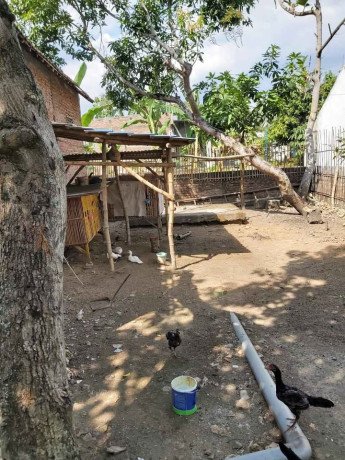 dijual-rumah-luas-tanpa-perantara-cocok-untuk-usaha-sosial-di-kanor-bojonegoro-big-2