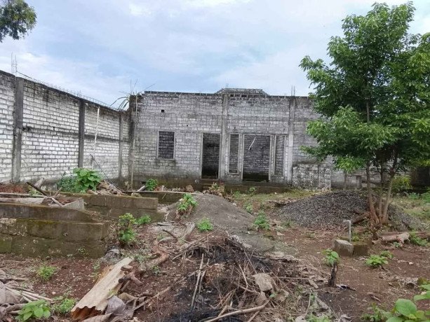 dijual-cepat-toko-gudang-lokasi-strategis-widang-tuban-big-4