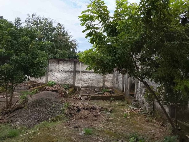 dijual-cepat-toko-gudang-lokasi-strategis-widang-tuban-big-3