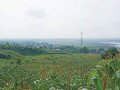 dijual-murah-tanah-tegal-view-pegunungan-small-0