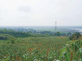 DIJUAL MURAH TANAH TEGAL VIEW PEGUNUNGAN