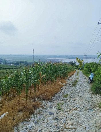 dijual-murah-tanah-tegal-view-pegunungan-big-1