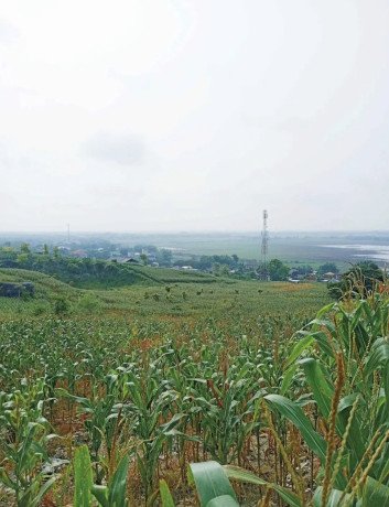 dijual-murah-tanah-tegal-view-pegunungan-big-0