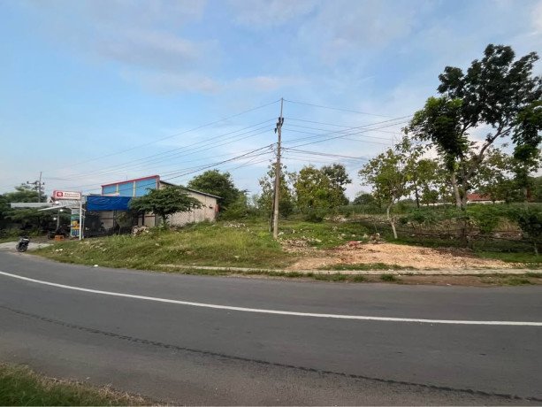 disewakan-tanah-cocok-untuk-stand-jualan-di-puncak-banyulangse-big-2