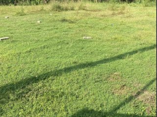 DIJUAL CEPAT TANAH LUAS 5.226 M² SHM SOKO, TUBAN