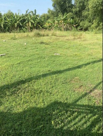 dijual-cepat-tanah-luas-5226-m2-shm-soko-tuban-big-0