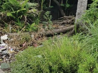 DIJUAL CEPAT TANAH PEKARANGAN TANJUNGHARJO KAPAS BOJONEGORO