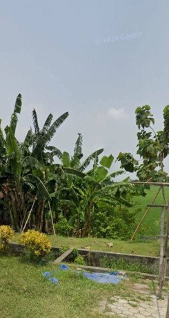 dijual-sawah-strategis-kanor-tambahrejo-bojonegoro-big-0