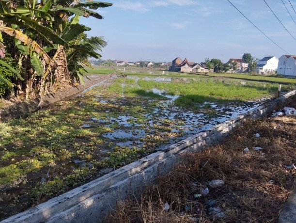 dijual-sawah-aktif-di-campurejo-bojonegoro-shm-siap-balik-nama-big-2