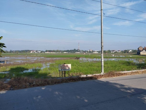 dijual-sawah-aktif-di-campurejo-bojonegoro-shm-siap-balik-nama-big-1