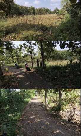 dijual-tanah-tegal-semanding-tuban-big-0