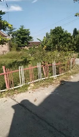 dijual-tanah-lokasi-strategis-di-bangilan-kapas-bojonegoro-timur-big-0