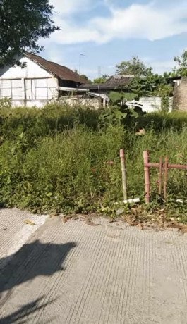 dijual-tanah-lokasi-strategis-di-bangilan-kapas-bojonegoro-timur-big-2