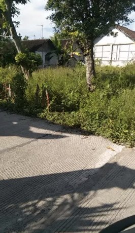 dijual-tanah-lokasi-strategis-di-bangilan-kapas-bojonegoro-timur-big-1