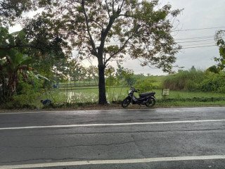 Dijual Tanah Murah Pinggir Jalan Raya Dander Bojonegoro