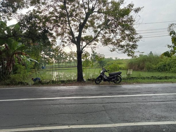 dijual-tanah-murah-pinggir-jalan-raya-dander-bojonegoro-big-0