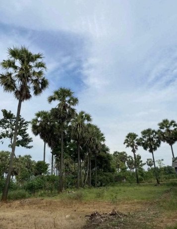 dijual-tanah-pribadi-di-dawung-palang-tuban-big-0