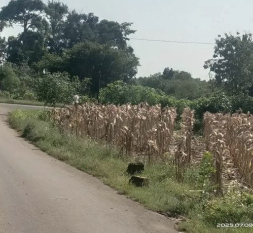 dijual-tanah-strategis-dekat-ringroad-semanding-big-1