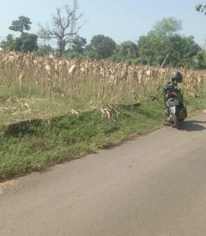 dijual-tanah-strategis-dekat-ringroad-semanding-big-0