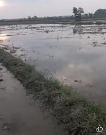 dijual-tanah-pertanian-sendanghaji-merakurak-tuban-big-0