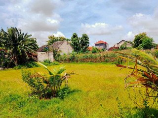 Dijual Tanah Strategis Dekat Kota Tuban!
