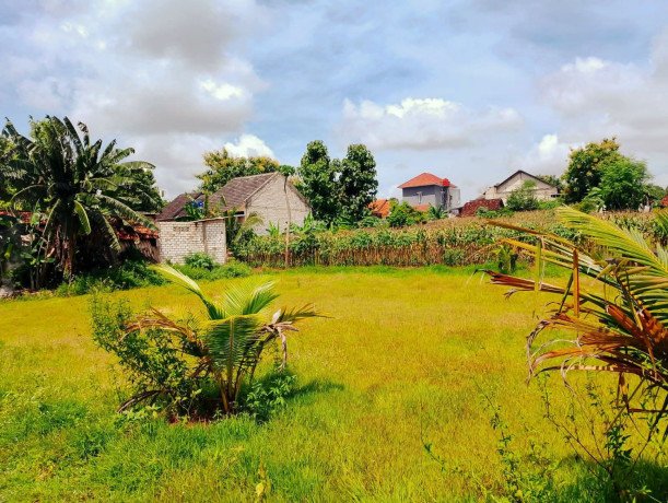 dijual-tanah-strategis-dekat-kota-tuban-big-0