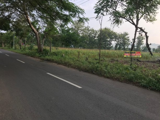 dijual-cepat-tanah-milik-pribadi-lokasi-strategis-big-2