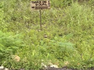 DIJUAL TANAH MILIK SENDIRI LOKASI MOLLO, SEMANDING