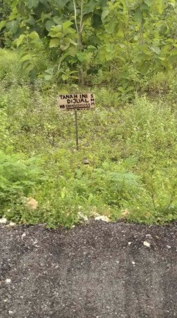 dijual-tanah-milik-sendiri-lokasi-mollo-semanding-big-0