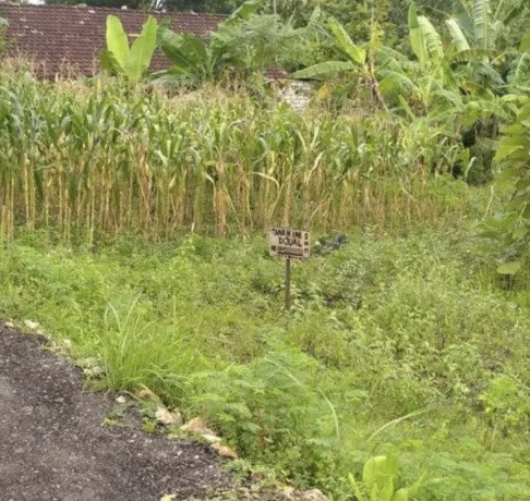 dijual-tanah-milik-sendiri-lokasi-mollo-semanding-big-2