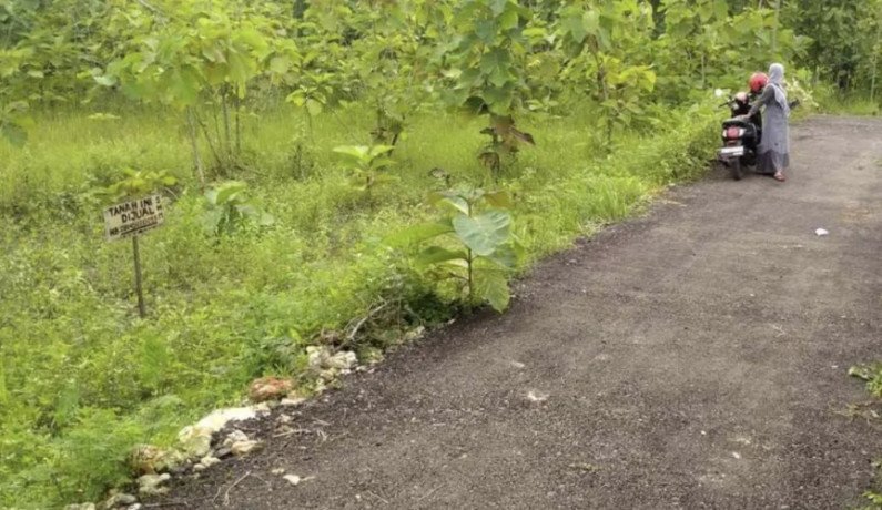 dijual-tanah-milik-sendiri-lokasi-mollo-semanding-big-1