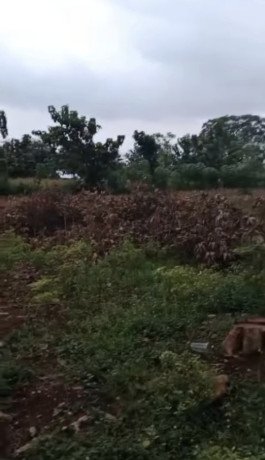 dijual-tanah-strategis-kerek-tuban-big-1