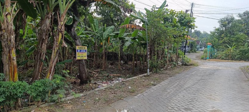 dijual-tanah-strategis-shm-desa-blimbing-dander-bojonegoro-big-0