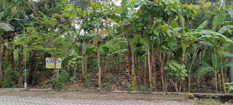 dijual-tanah-strategis-shm-desa-blimbing-dander-bojonegoro-big-1