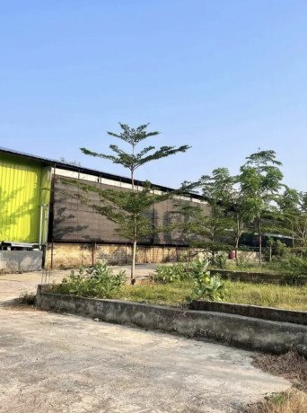 dijual-tanah-kandang-ayam-siap-usaha-jatirogo-big-3