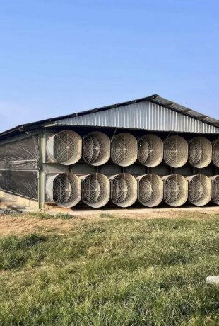 dijual-tanah-kandang-ayam-siap-usaha-jatirogo-big-0