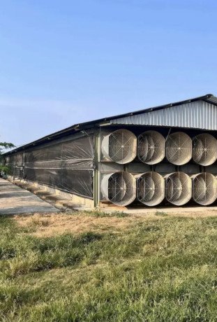 dijual-tanah-kandang-ayam-siap-usaha-jatirogo-big-1