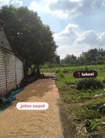 dijual-tanah-strategis-di-gedongombo-semanding-tuban-big-2