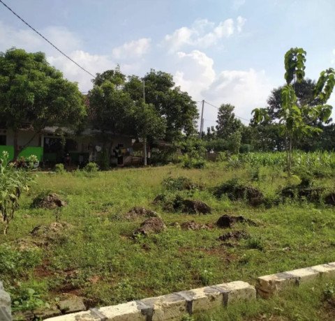 dijual-tanah-strategis-di-gedongombo-semanding-tuban-big-1