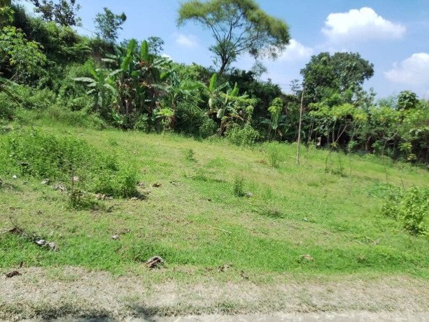 dijual-tanah-pekarangan-siap-bangun-big-0