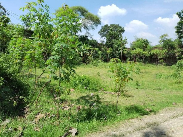 dijual-tanah-pekarangan-siap-bangun-big-1