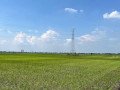 dijual-cepat-lahan-sawah-kota-small-1