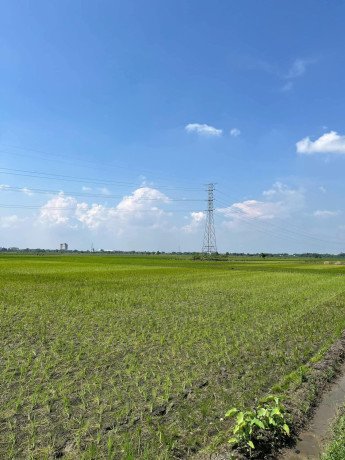 dijual-cepat-lahan-sawah-kota-big-1