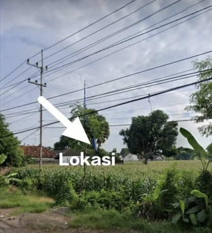 dijual-tanah-strategis-kota-tuban-big-0