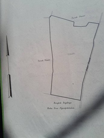 tanah-sawah-dijual-bojonegoro-big-2