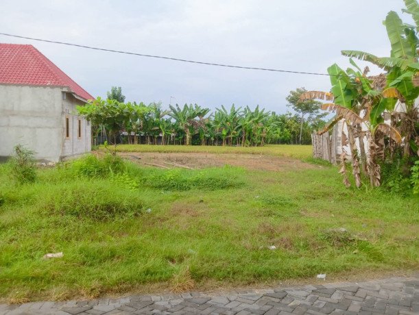 dijual-tanah-siap-bangun-ngumpak-dalem-bojonegoro-big-0