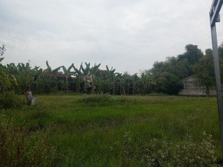 DIJUAL TANAH SAMBIROTO, KAPAS, BOJONEGORO