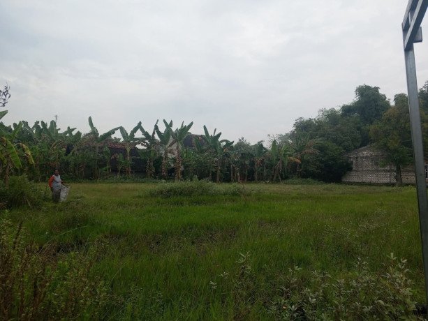 dijual-tanah-sambiroto-kapas-bojonegoro-big-0